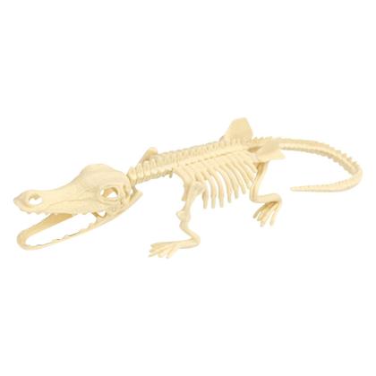 Imagem de Brinquedo de dinossauro montado diy infantil Arqueologia Esqueleto fóssil de dinossauro