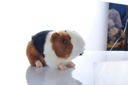 Imagem de Brinquedo de pelúcia, coelho fofo, cobaia, brinquedo de pelúcia de 20 cm