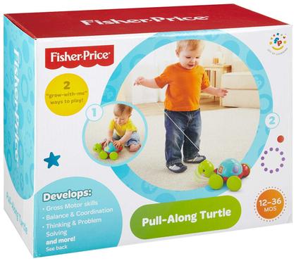 Imagem de Brinquedo Empurra Tartaruga Fisher Price - Y8652