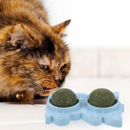 Imagem de Brinquedo Erva de Gato Pet Interativo Natural Catnip Animal de Estimacao Chao Parede