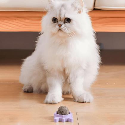 Imagem de Brinquedo Gato Parede Catnip