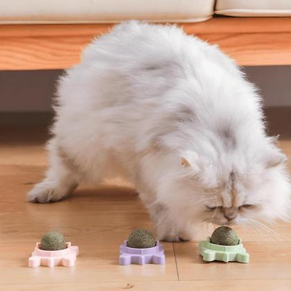 Imagem de Brinquedo Gato Parede Catnip