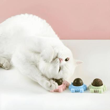 Imagem de Brinquedo Gato Parede Catnip