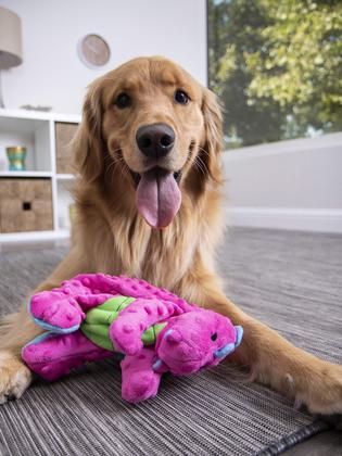 Imagem de Brinquedo GoDog Bubble Plush Dragons - Pelúcia para Cães com Guizo