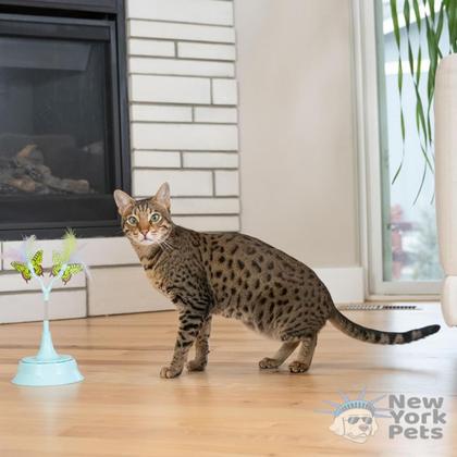 Imagem de Brinquedo Interativo Catstages 2 em 1 Flutter Toy Molas Saltitante Com Penas e Borboletas Para Gato