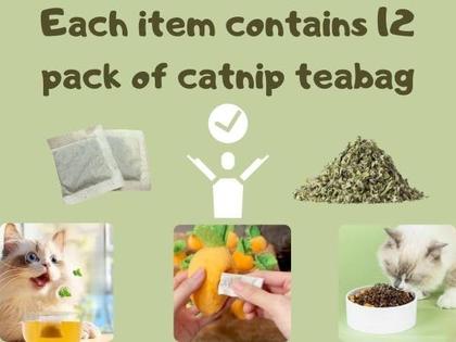 Imagem de Brinquedo Interativo para Gatos CECE PAW - Cenoura com Catnip e Pena (12 Unidades)