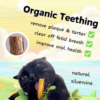 Imagem de Brinquedo Interativo para Gatos CECE PAW - Cenoura com Catnip e Pena (12 Unidades)