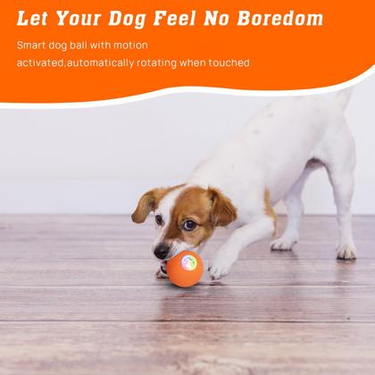 Imagem de Brinquedo interativo para gatos Mewlmart Flapping Eyas com catnip para gatos