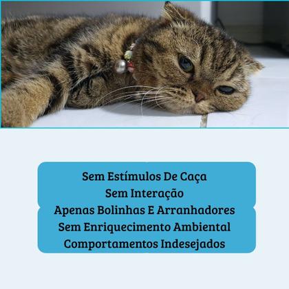 Imagem de Brinquedo Interativo Peixe Elétrico Para Gatos Usb Cat Nip