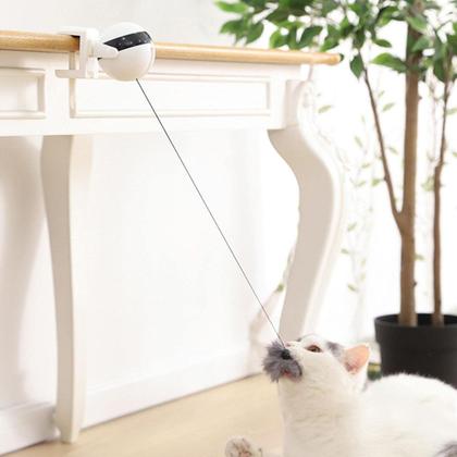 Brinquedo Interativo Pêndulo Ioiô Elétrico Gato Pet Branco - C3B Imagem de Brinquedo Interativo Pêndulo Ioiô Elétrico Gato Pet Branco