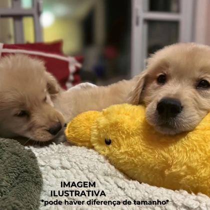 Imagem de Brinquedo Mordedor Big Duck Pequeno Pato Pelúcia Pet Com Som Para Cães - Jambo Pet