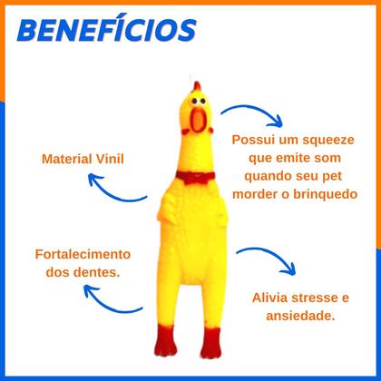 Imagem de Brinquedo Mordedor Para Cachorro Pet Galinha Bolinha Kit 5un