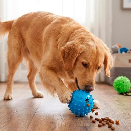 Imagem de Brinquedo Mordedor Spiker Bom Amigo W9108 Porta Petisco Interativo Bola Ração Cães Antiestresse
