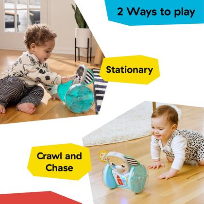 Imagem de Brinquedo para bebês engatinhando Baby Einstein Chase & Tap Earl com espelho