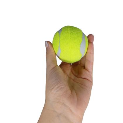 Imagem de Brinquedo Para Cachorro Bola de Tênis 3 Unidades 