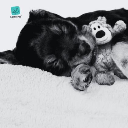 Imagem de Brinquedo Pelúcia Resistente Kong Knots Esqueleto de Corda