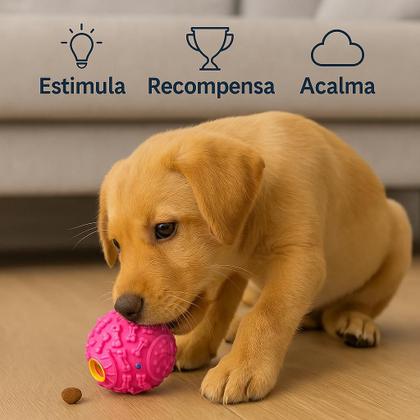 Imagem de Brinquedo Pet Bolinha Bola Interativa Porta Ração Petisco Com Apito Para Cães Gatos Cachorros