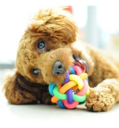 Imagem de Brinquedo Pet Bolinha Com Guizo Para Cães E Gatos Trançada