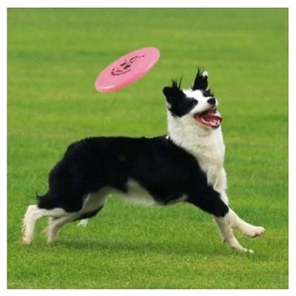 Imagem de Brinquedo Pet Disco Frisbee Silicone Cães Crianças Adultos Diversão Garantida