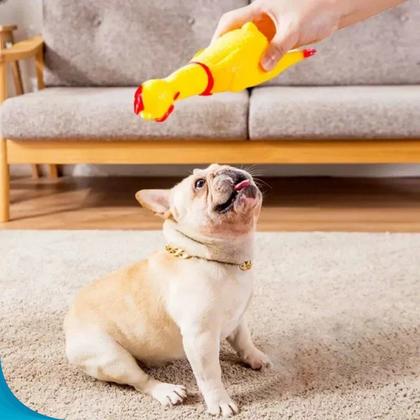 Imagem de Brinquedo Pet Para Cachorro Galinha De Borracha Divertida Em Estoque