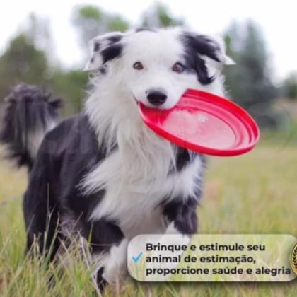 Imagem de Brinquedo Praia Disco Frisbee para Pet Diversão Brincadeiras