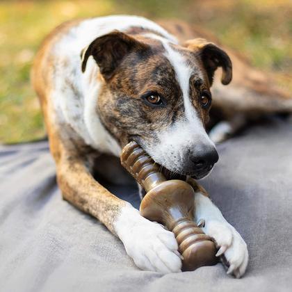 Imagem de Brinquedo Roer Benebone Zaggler Bacon Para Cães Extra Grande