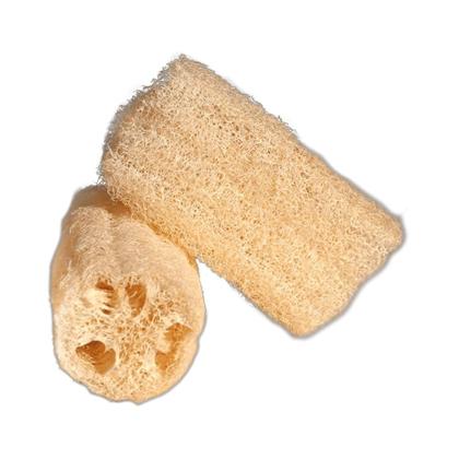 Imagem de Bucha Vegetal Para Banho Esfoliante Natural Unissex Orgânica 1 Unidade