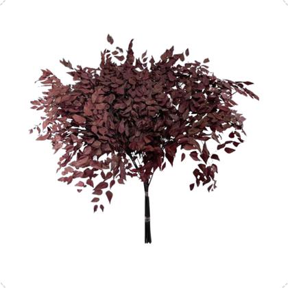 Imagem de Buquê Avenca Cor Vinho Natural Decoração Arranjo Desidratado