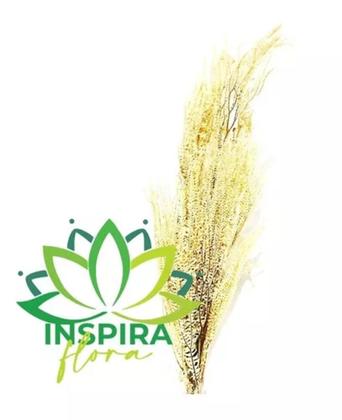Imagem de Buquê Capim Secos Samambaia Crespa Campo Bege Arranjo Flor