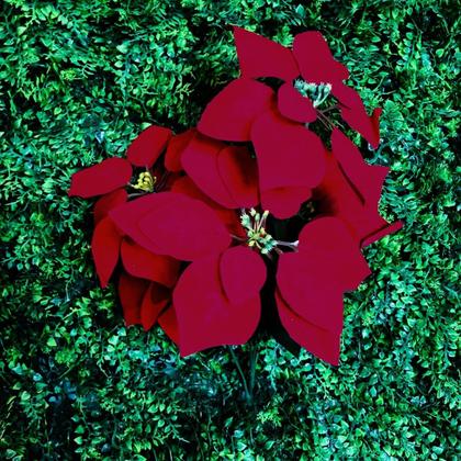 Imagem de Buquê De Flor Artificial Bico Papagaio Natal C/ 5 Flores Vermelho