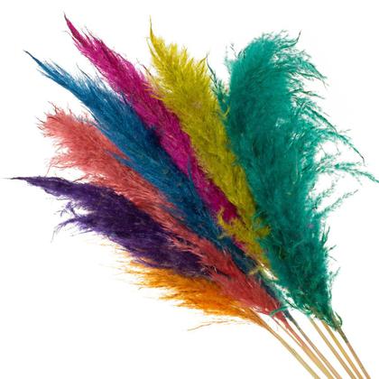 Imagem de Buque de Flores Secas Campim dos Pampas Colorido
