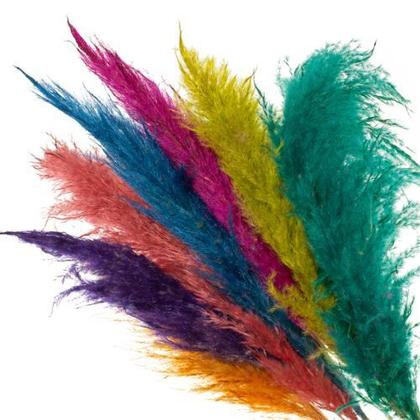 Imagem de Buque de Flores Secas Campim dos Pampas Colorido
