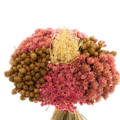 Imagem de Buque de Flores Secas De Pé Rosa