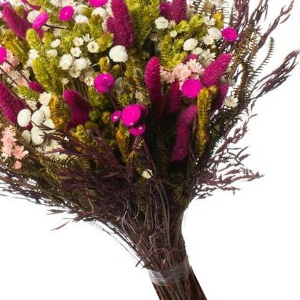 Imagem de Buque de Flores Secas Rabo de Coelho Gato Pink Decorar