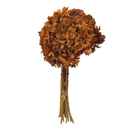 Imagem de Buquê Hortênsia