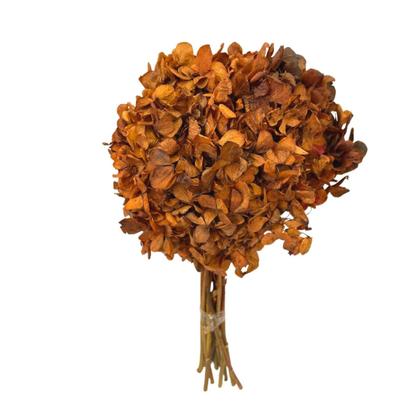 Imagem de Buquê Hortênsia