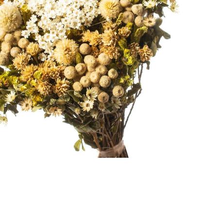 Imagem de Buquê Preservado Rústico Colorido I Flores Desidratadas