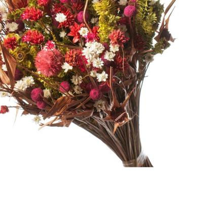 Imagem de Buquê Preservado Rústico Colorido I Flores Desidratadas