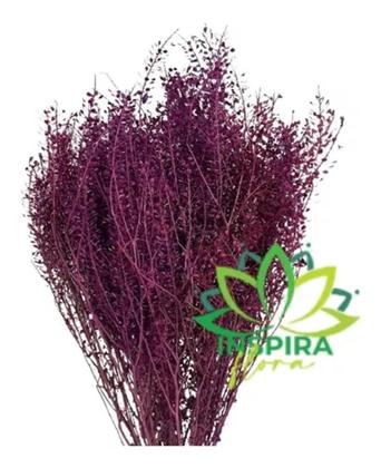 Imagem de Buquê Sementinha Desidratada Roxo Casamento Arranjo Seco Lar