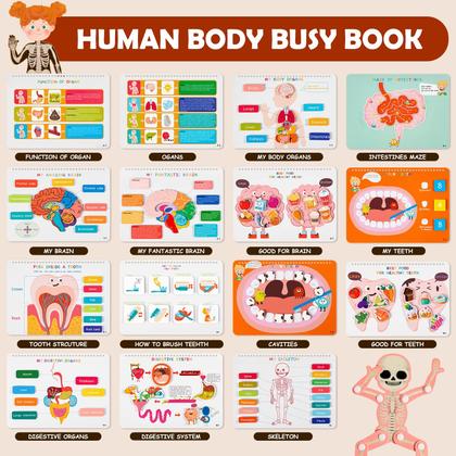 Imagem de Busy Book Freebear Montessori Human Body Anatomy Kids 4-8 anos