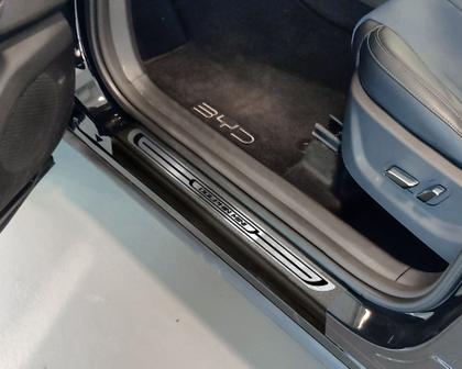 Imagem de BYD Dolphin Mini 2023/2025 Soleira Baixo Relevo Pedaleira Descanso Inox