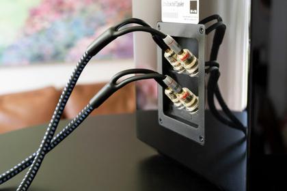 Imagem de Cabo de alto-falante SVS SoundPath Ultra Bi-Wire de 6 m com espadas