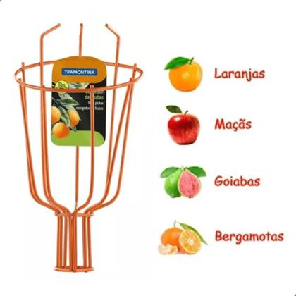 Imagem de Cabo Extensor 5 Metros Tramontina com Rodo 35cm Limpa Teto e Colhedor Frutas