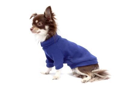 Imagem de Cacharrel de Malha para Cachorro e Gato Pet