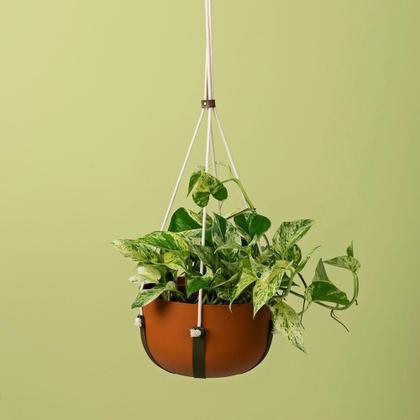 Imagem de Cachepô Coleção Due N6 Pote 21 Vaso Raiz 24x14 Cores Variada Cachepot