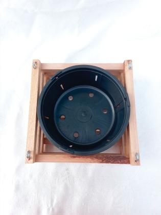 Imagem de Cachepo De Madeira Para Orquídea 15x15 cm com vaso nº 2 - Kit 10 Unidades