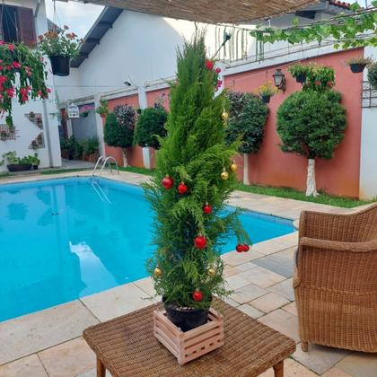 Imagem de Cachepô De Madeira Quadrado Para Orquídeas E Plantas M 20x20