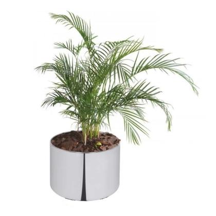 Imagem de Cachepó Grande