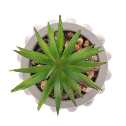 Imagem de Cachepot Cimento Suculenta Bubbles Cinza Claro 7,5Cm X - Wolff