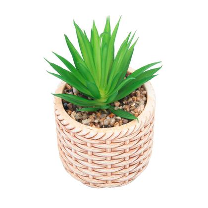 Imagem de Cachepot de cerâmica com suculenta rattan 10 x10 x 17 cm Wolff - 61612